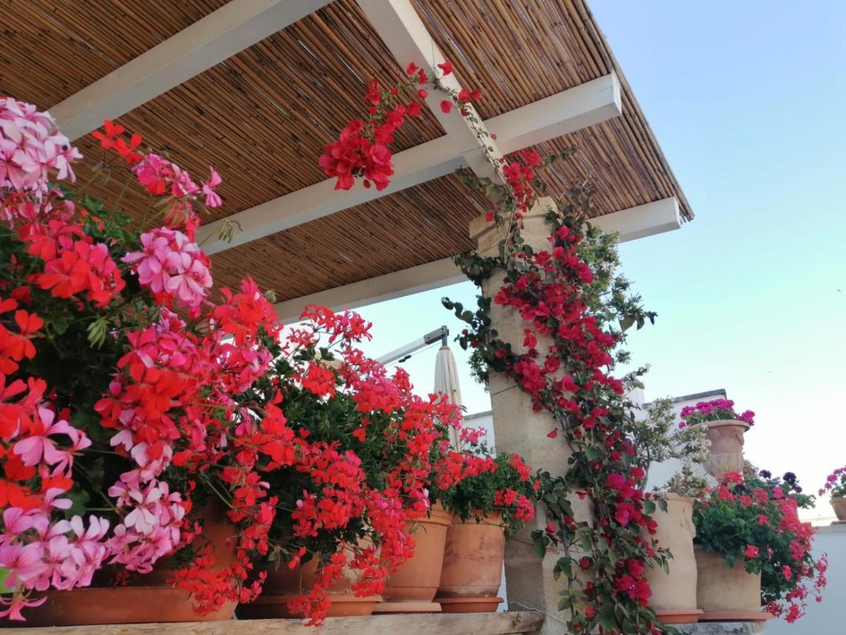 Bed and Breakfast Anticadimora Dei Pepe Salve Exterior foto