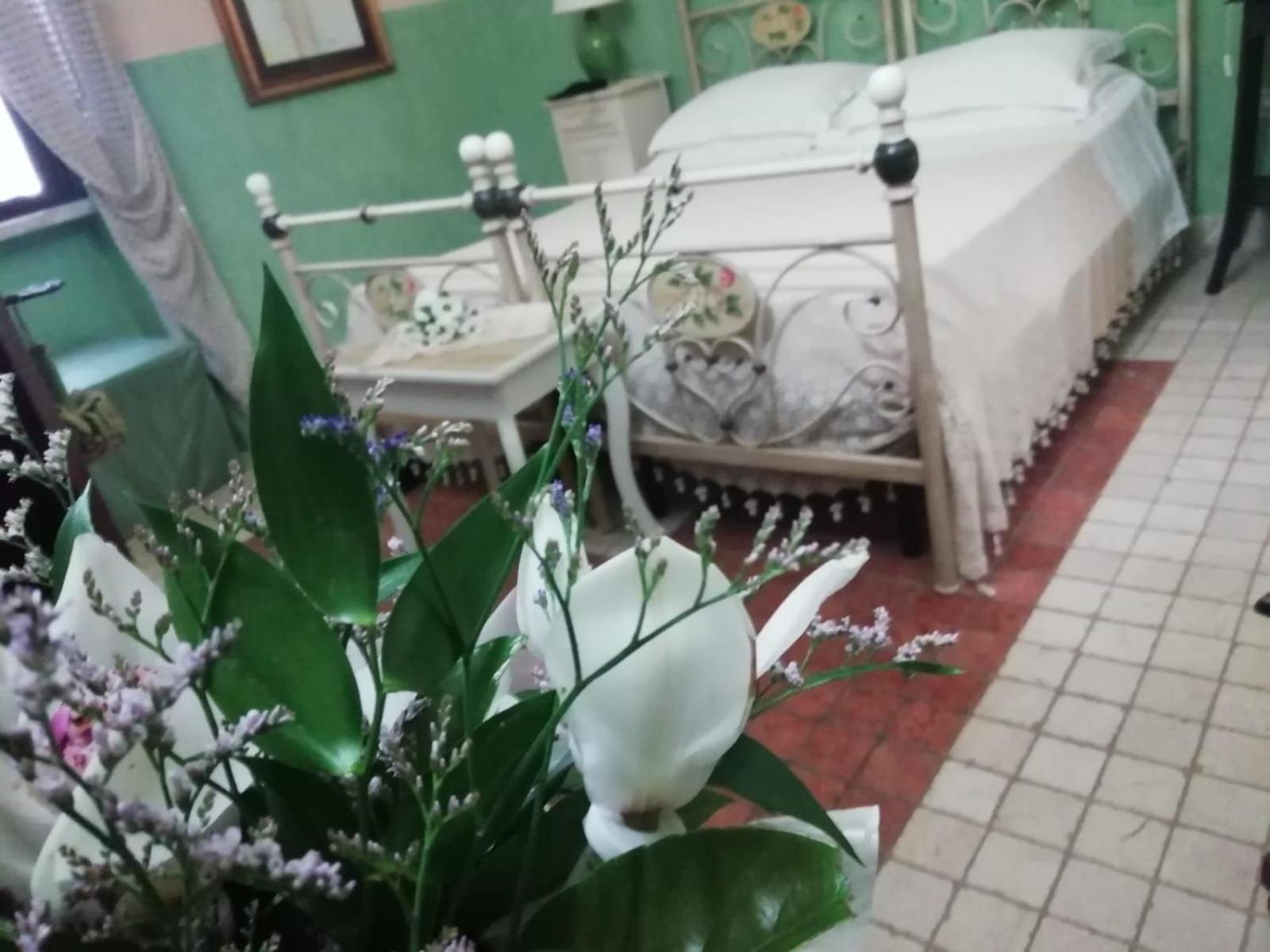 Bed and Breakfast Anticadimora Dei Pepe Salve Exterior foto